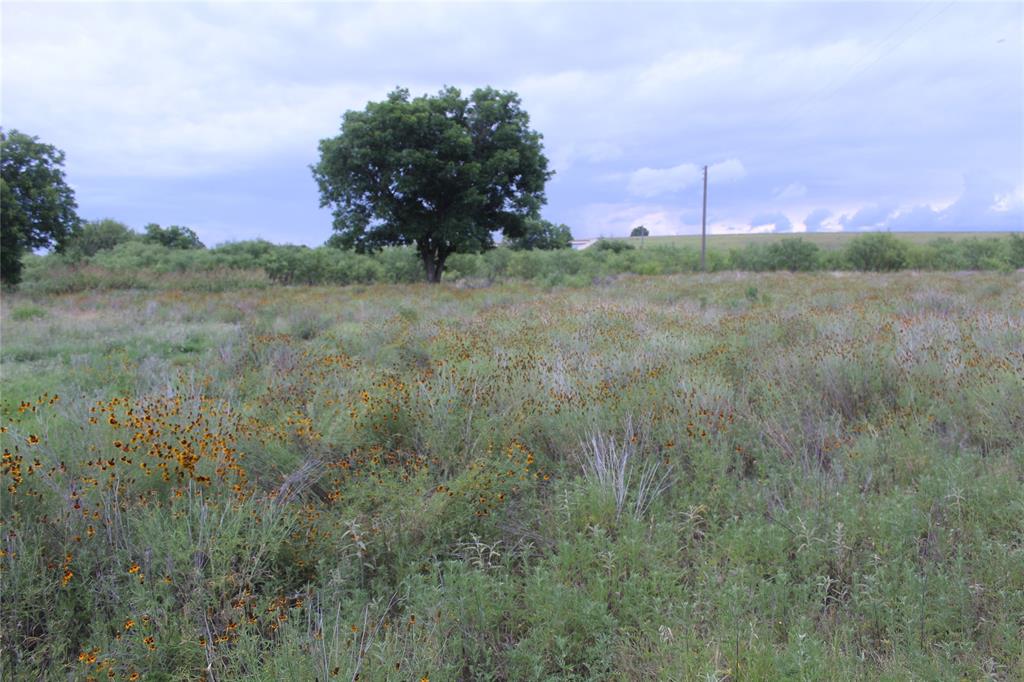 510 Hamby Road Clyde, TX 79510 - Photo 15 of 23 Expansive open land with natural vegetation, featuring scattered trees and a distant utility pole
