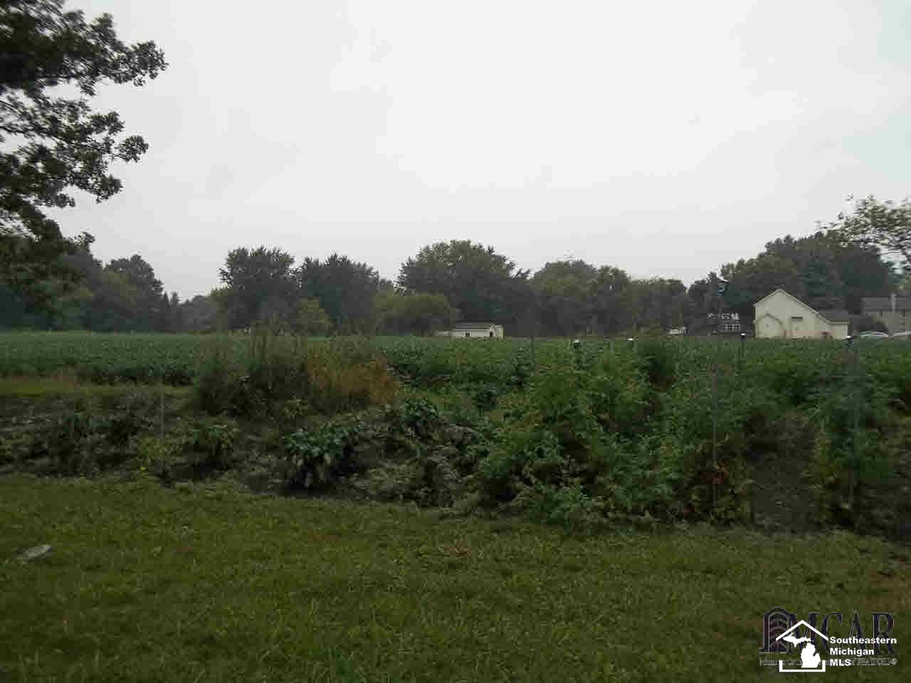 3715 Kelly Road Erie, MI 48133 - Photo 27 of 30 Second Garden