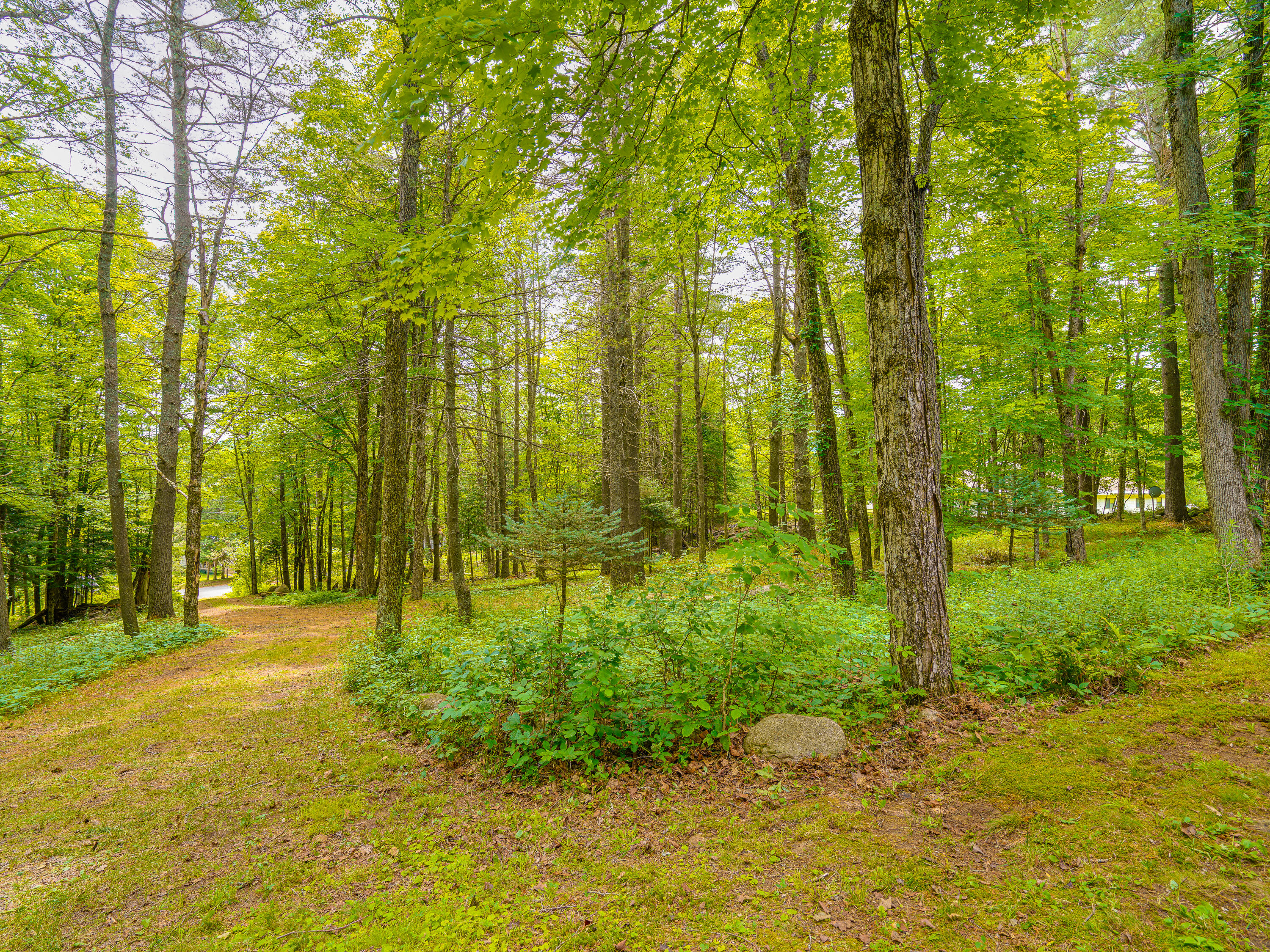 287 Kickerville Road Long Lake, NY 12847 - Photo 25 of 50 Gallery Image 25