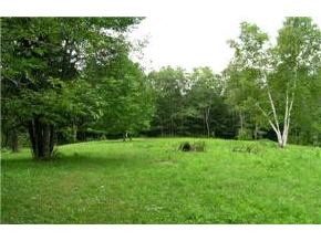 507 County Road Bradford, NH 03221 - Photo 3 of 6