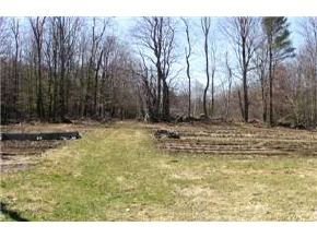 507 County Road Bradford, NH 03221 - Photo 4 of 6