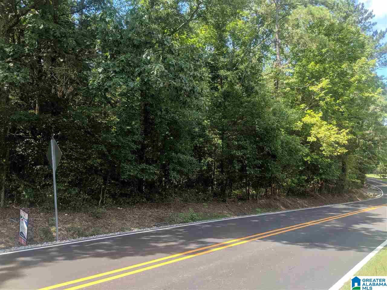 0 Old Broadwell Mill Road Jacksonville, AL 36265 - Photo 3 of 22