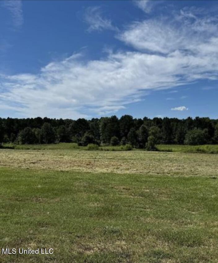 547 Clark Stables Road Brandon, MS 39047 - Photo 1 of 2 IMG_8612