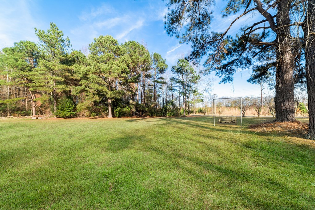 1436 Blewer Road Cope, SC 29038 - Photo 44 of 49 Photo 44