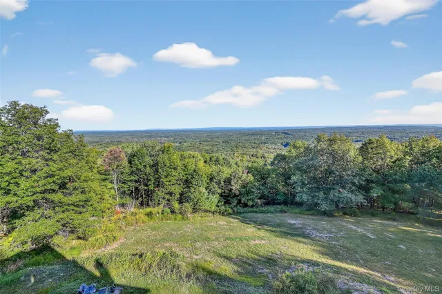 a view of an outdoor space and a yard