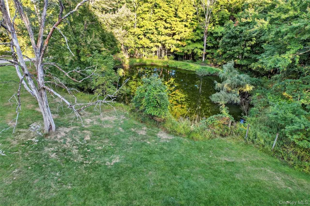 a view of a lush green space