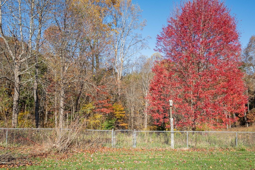245 Ridgetop Drive Rural Retreat, VA 24368 - Photo 41 of 56 Gallery Image 41