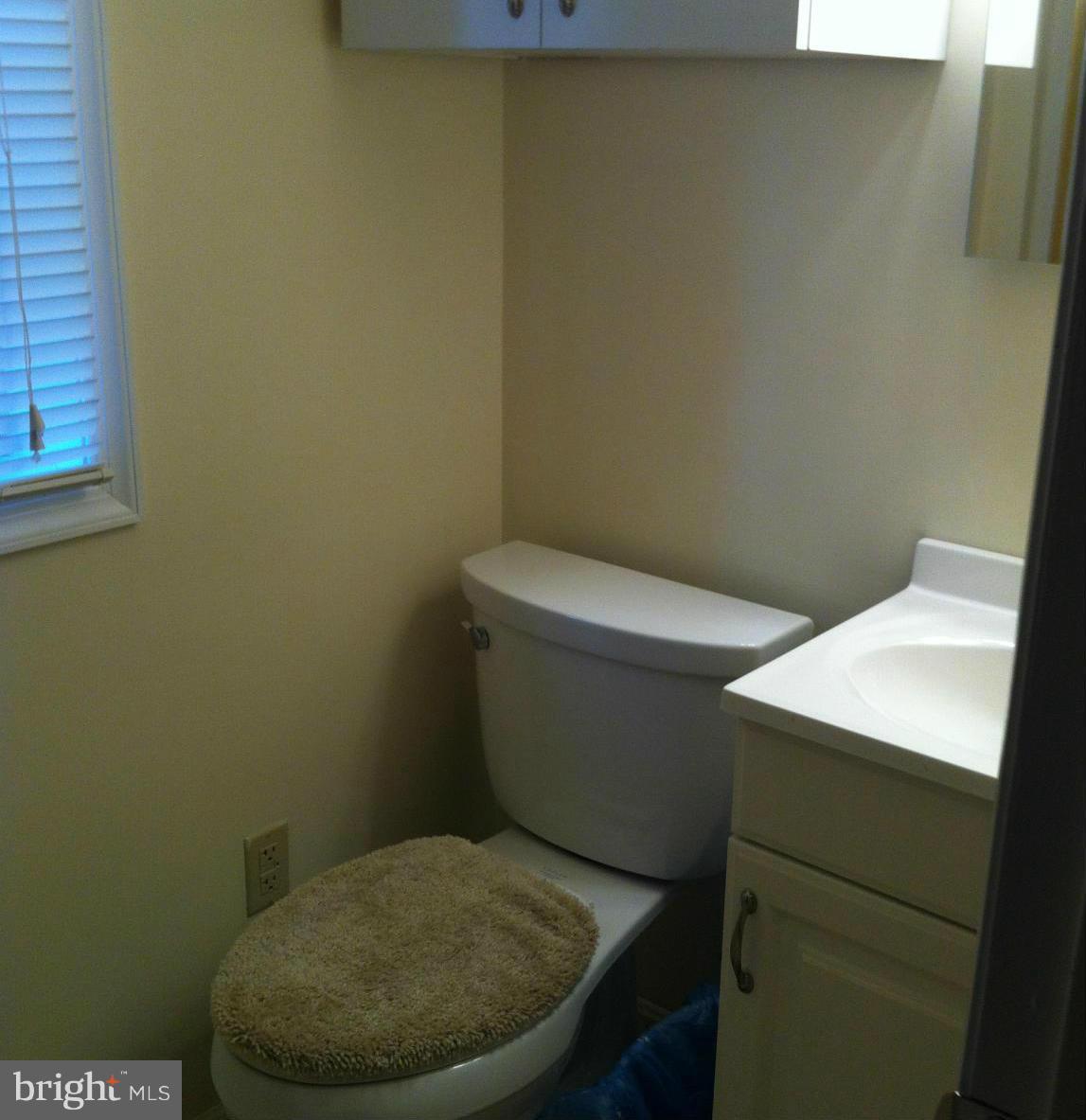 13804 Big Pool Road Clear Spring, MD 21722 - Photo 10 of 28 Bath (Master)