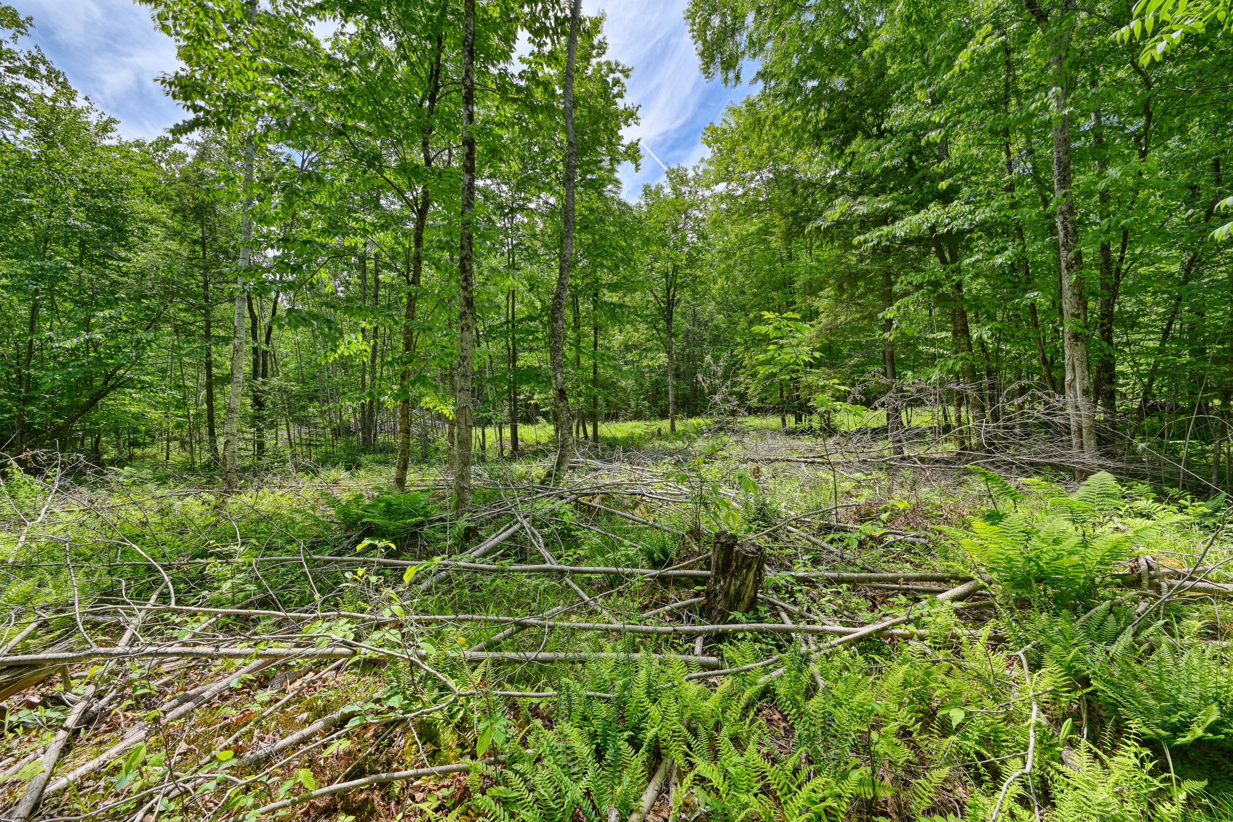 0 Macomber Road Readfield, ME 04355 - Photo 12 of 61 149-Z4LWJYW--LP-111