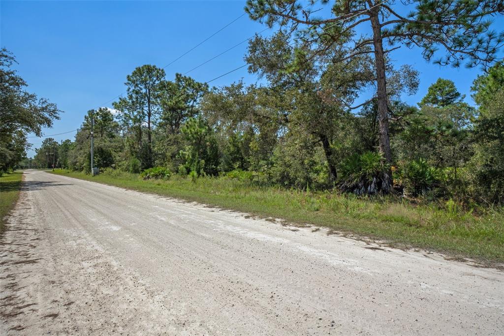 18172 Commercial Way Weeki Wachee, FL 34614 - Photo 1 of 12 a view of a yard with a tree