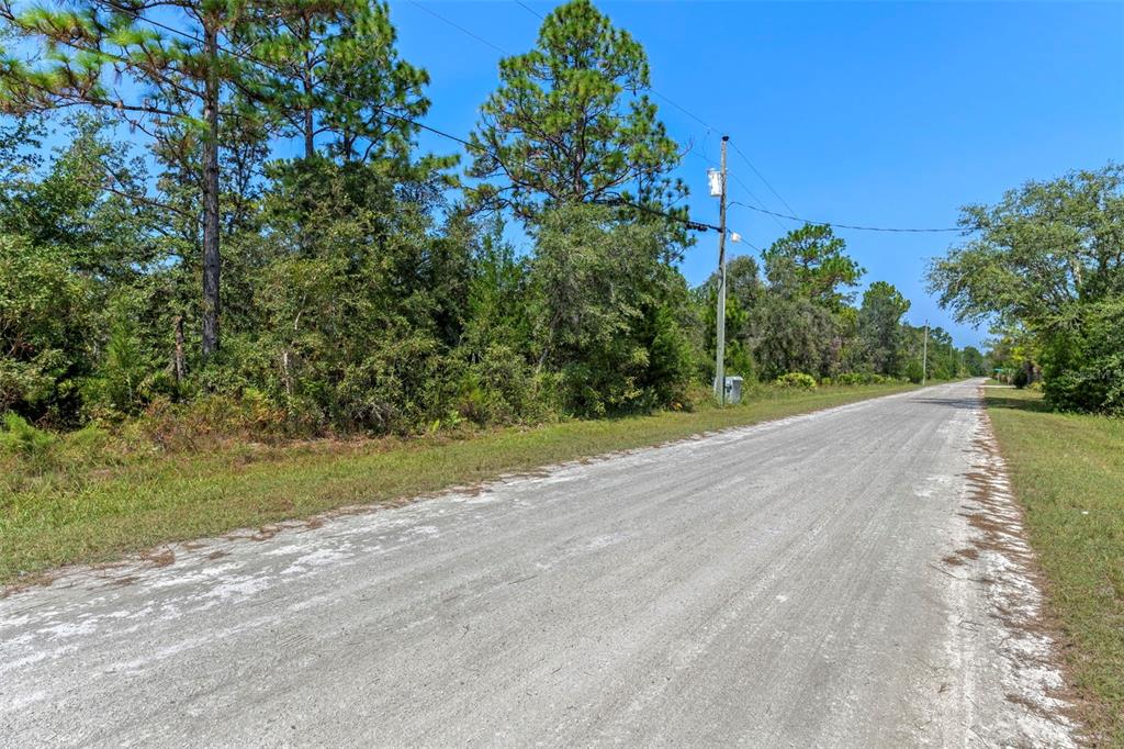 18172 Commercial Way Weeki Wachee, FL 34614 - Photo 2 of 12 a view of a yard with potted plants and large trees