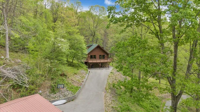 a view of a lush green hillside and a mountain view
