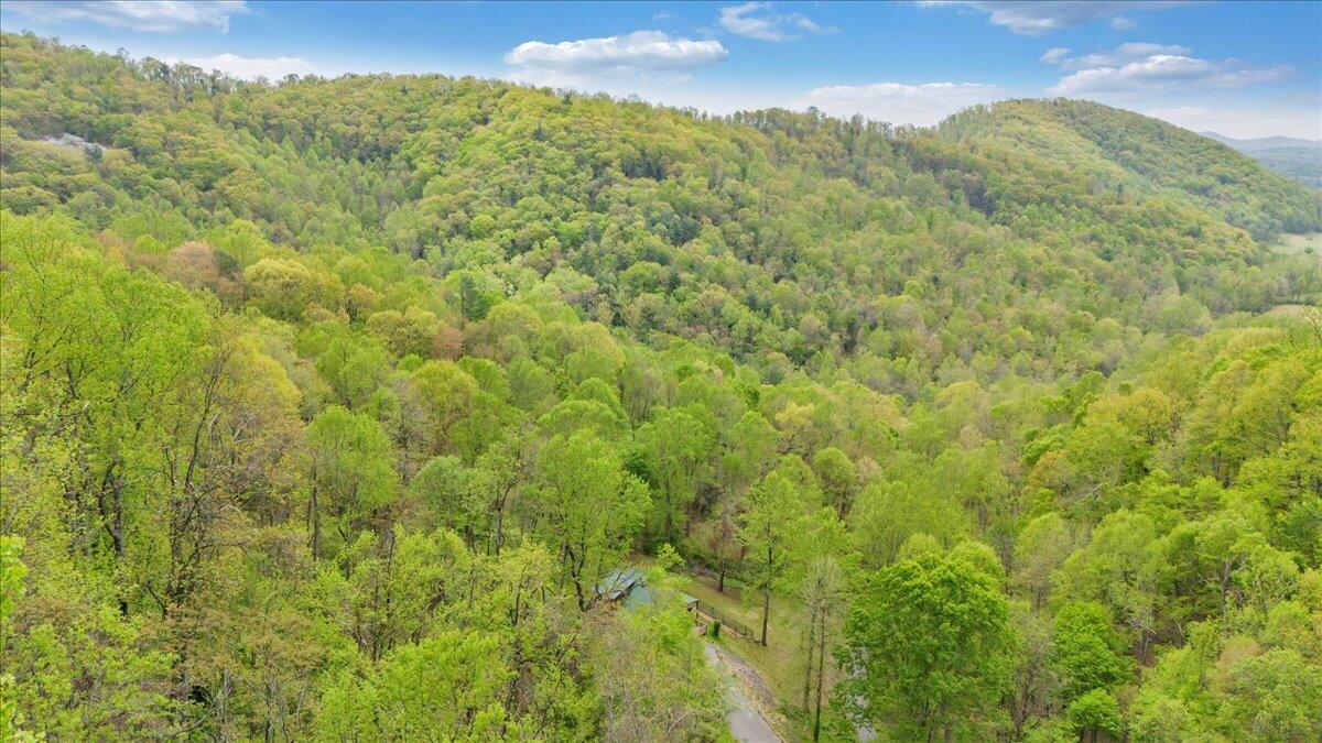 13357 Callaway Road Callaway, VA 24067 - Photo 50 of 62 a view of a lush green forest with a mountain