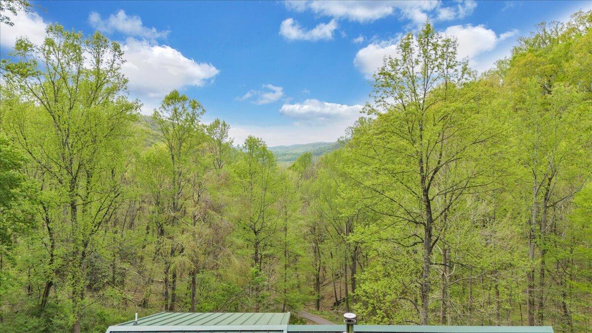 13357 Callaway Road Callaway, VA 24067 - Photo 52 of 62 a view of a garden