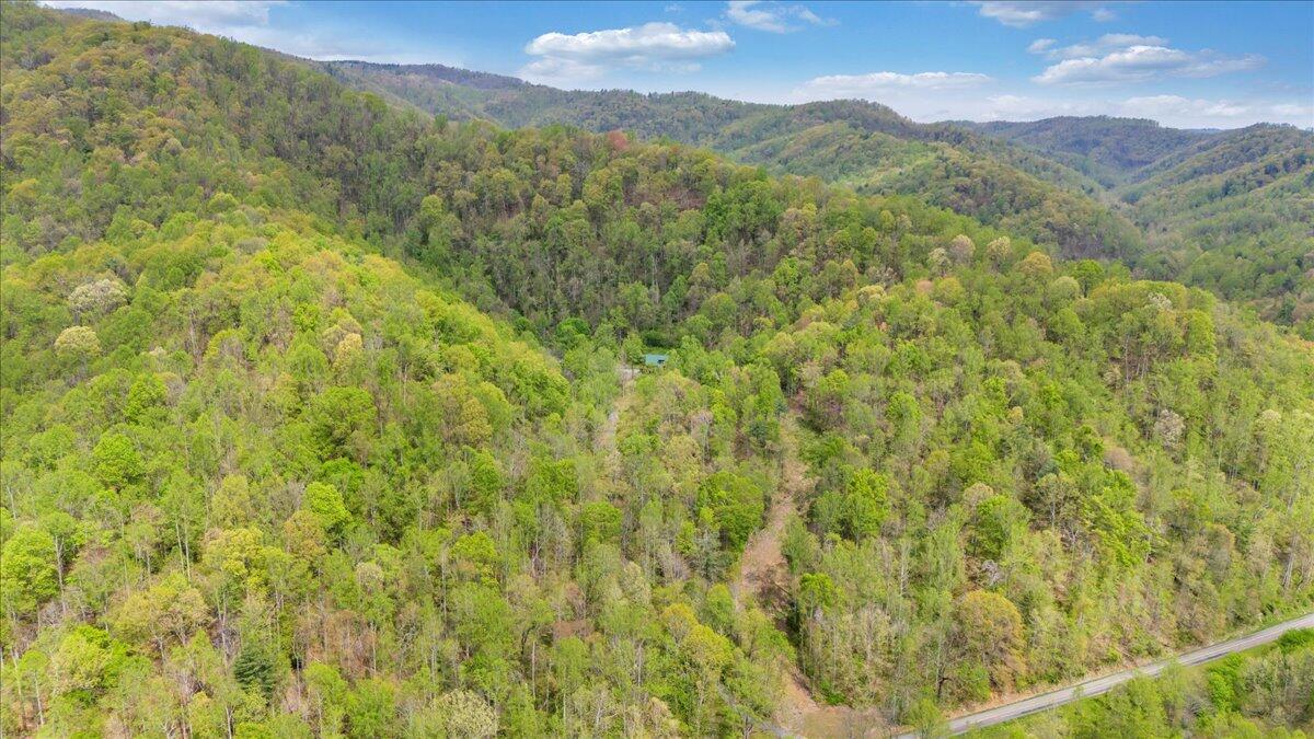 13357 Callaway Road Callaway, VA 24067 - Photo 53 of 62 a view of a lush green forest with mountains in the background