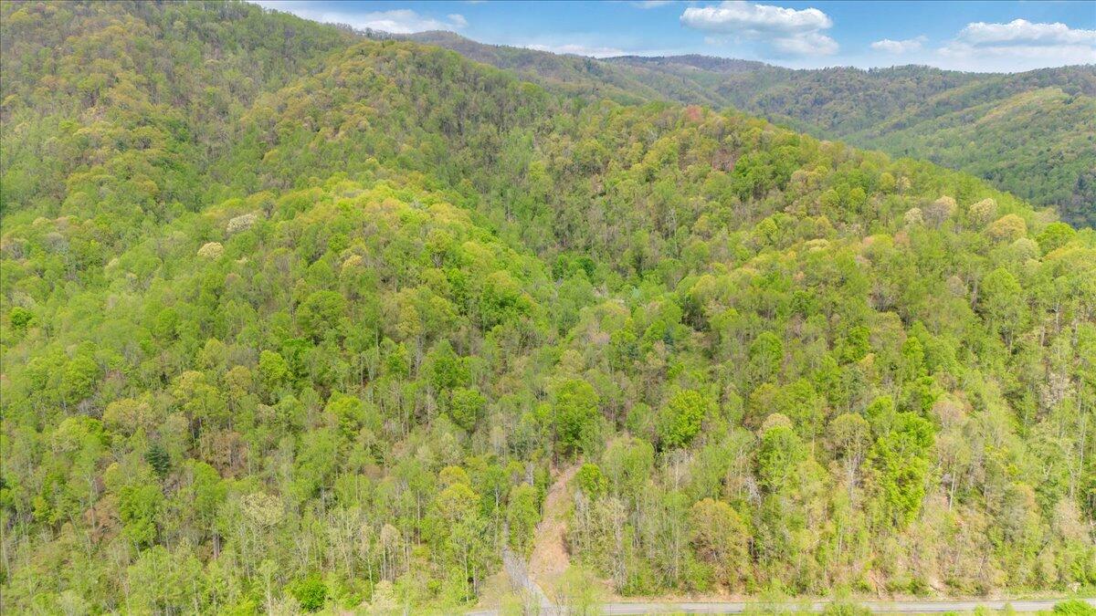 13357 Callaway Road Callaway, VA 24067 - Photo 54 of 62 a view of a forest with an outdoor space