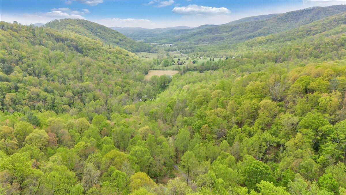 13357 Callaway Road Callaway, VA 24067 - Photo 55 of 62 a view of a lush green hillside and a mountain