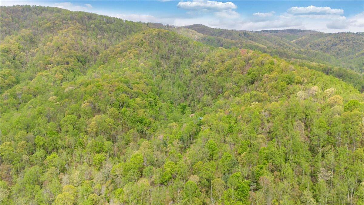13357 Callaway Road Callaway, VA 24067 - Photo 56 of 62 a view of a lush green hillside and a mountain
