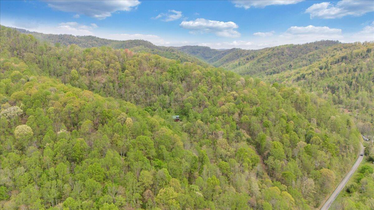 13357 Callaway Road Callaway, VA 24067 - Photo 57 of 62 a view of a lush green forest with mountains in the background