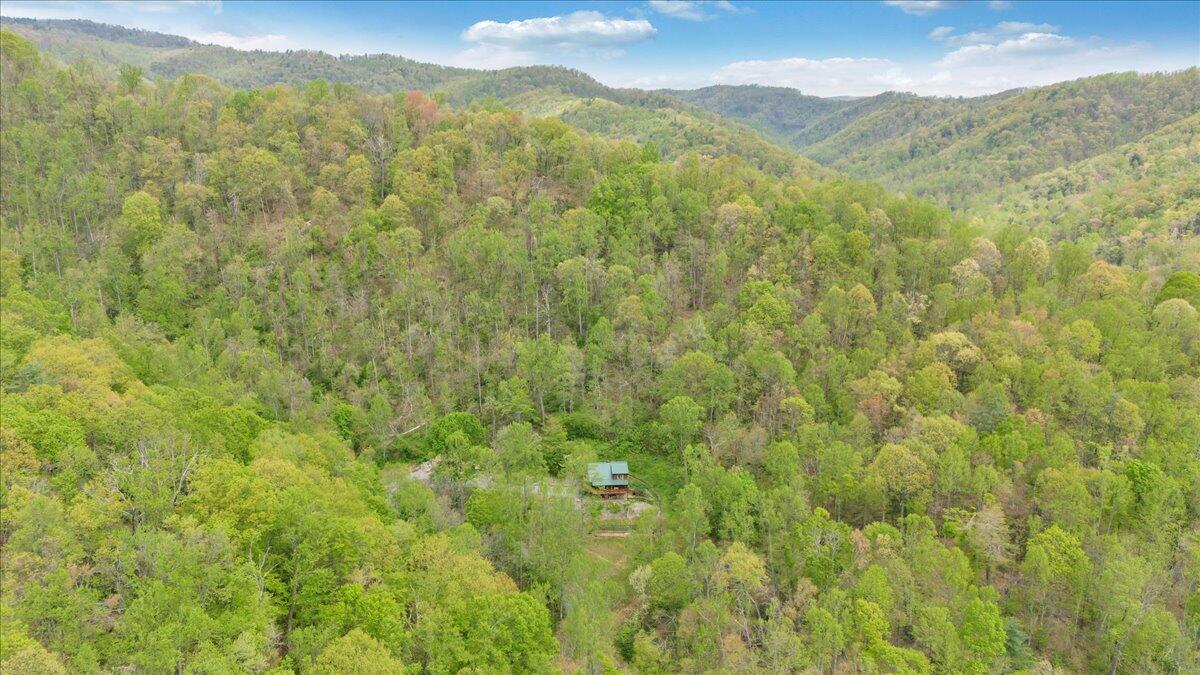 13357 Callaway Road Callaway, VA 24067 - Photo 58 of 62 a view of a lush green hillside and a mountain
