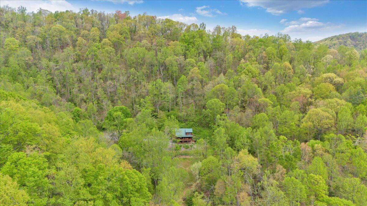13357 Callaway Road Callaway, VA 24067 - Photo 59 of 62 63-DJI_20250422113931_0016_D