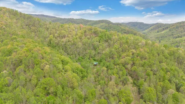 $595,000 | 13357 Callaway Road, Callaway, VA 24067