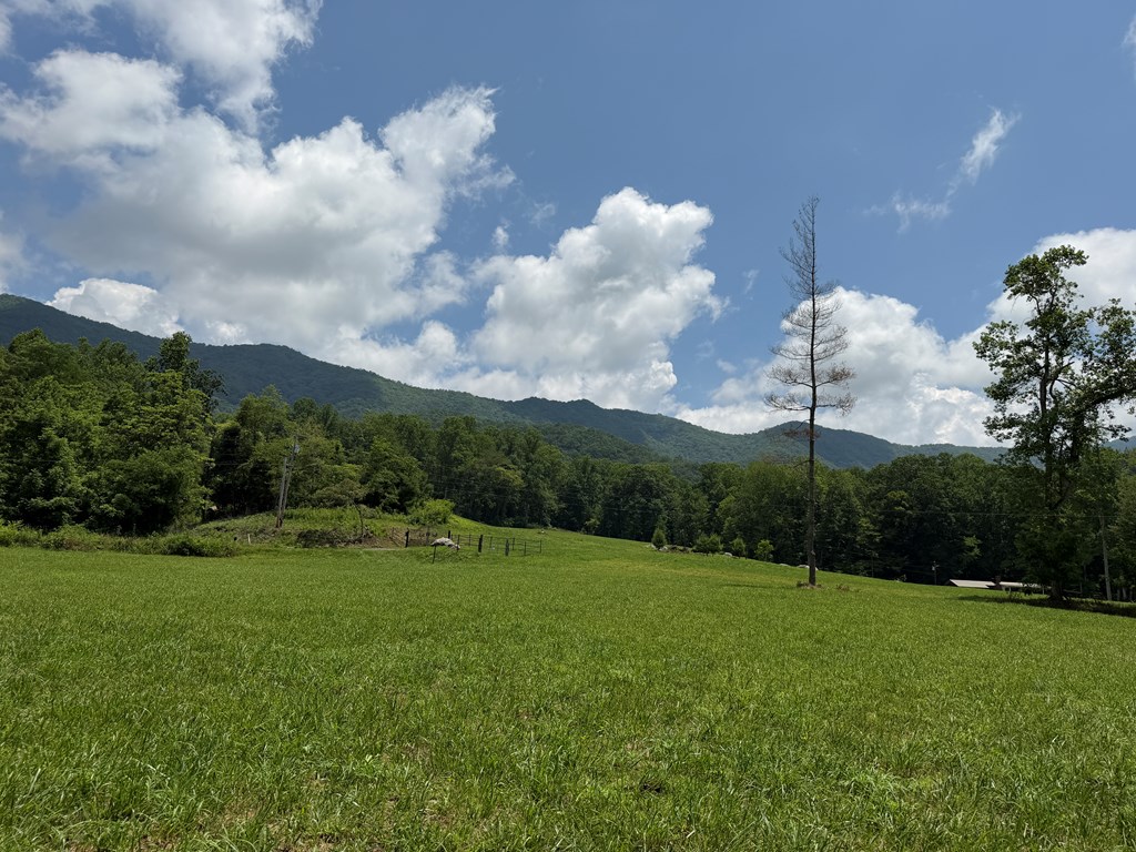 1446 Muskrat Creek Road Hayesville, NC 28904 - Photo 103 of 108