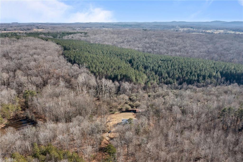 1728 Groom Road Sophia, NC 27350 - Photo 38 of 41