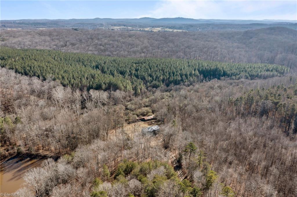 1728 Groom Road Sophia, NC 27350 - Photo 39 of 41