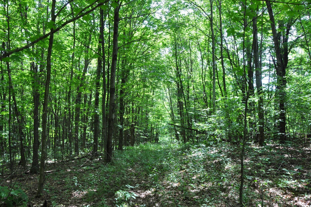 69 Ridge View Lane Sandstone, WV 25985 - Photo 24 of 63 Gallery Image 24