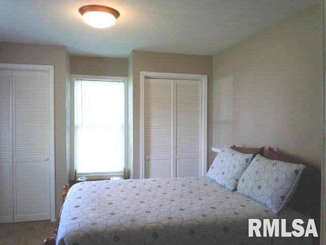 202 North Elm Street Ina, IL 62846 - Photo 10 of 14