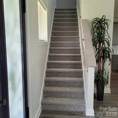a walk in closet with a potted plant