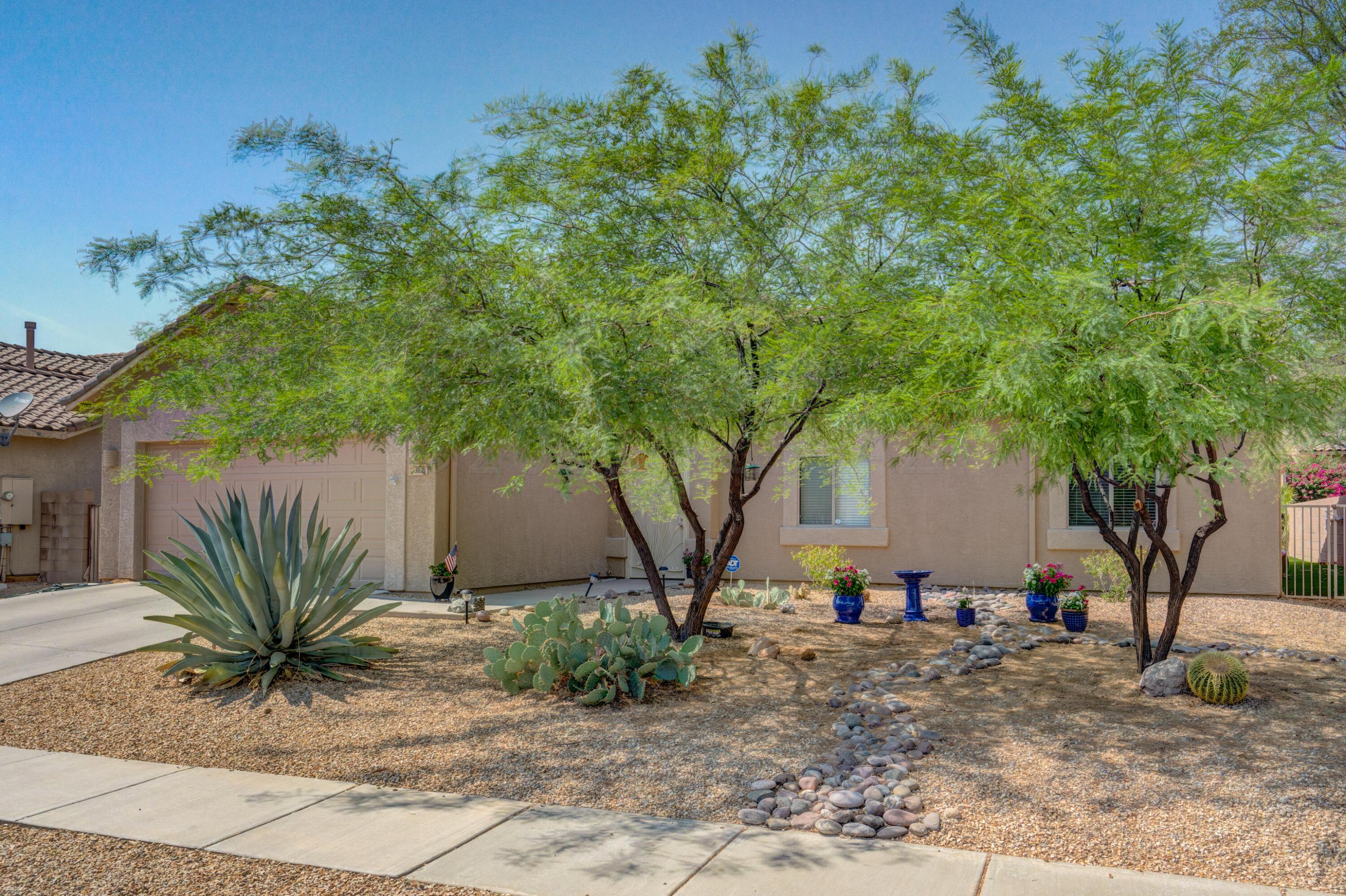 3639 East Northern Dancer Road Tucson, AZ 85739 - Photo 2 of 48 a view of a backyard with a tree