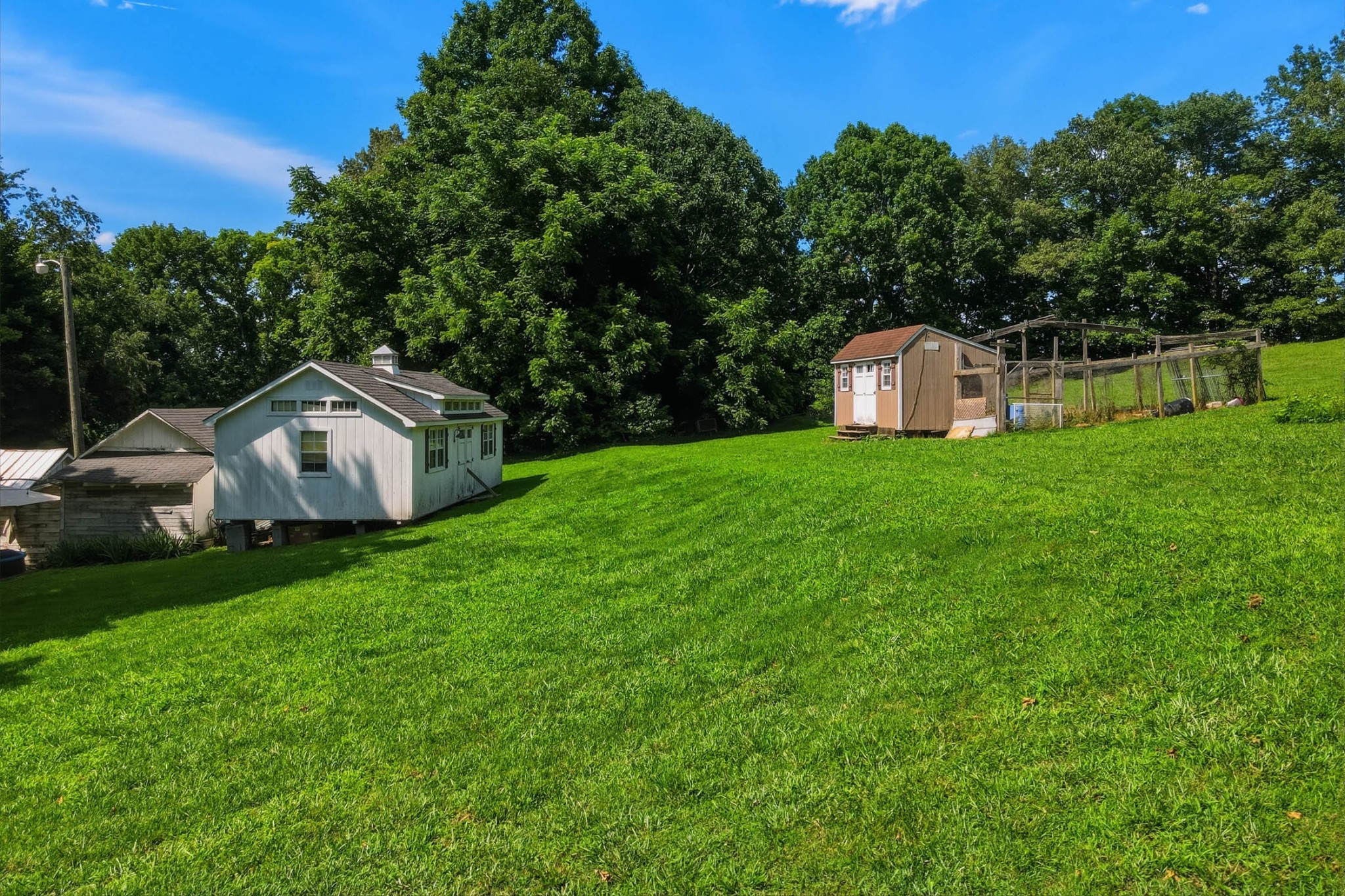 8157 Highway 49 Springfield, TN 37172 - Photo 43 of 56