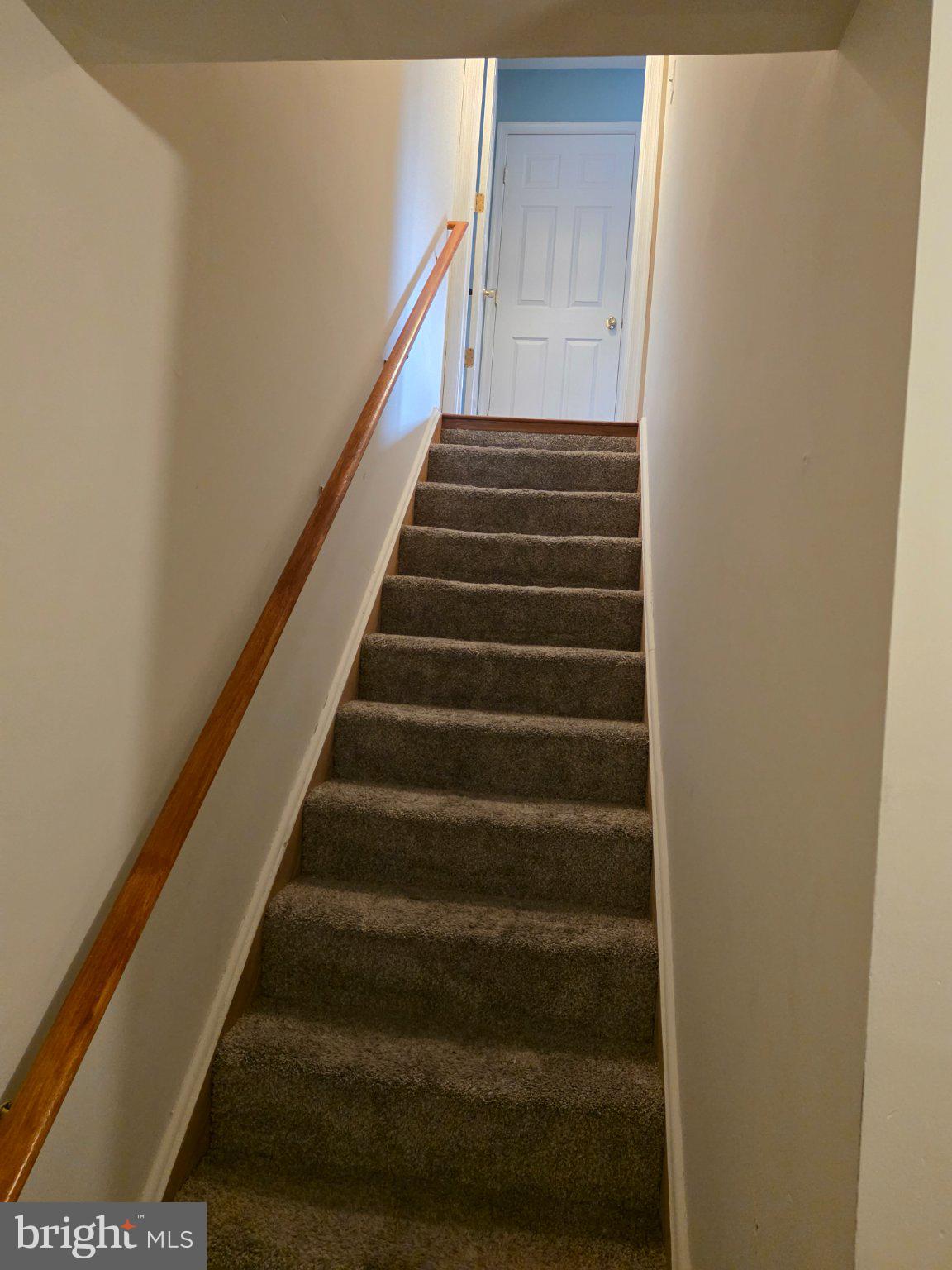 511 Primus Court Frederick, MD 21703 - Photo 30 of 40 Inviting staircase to hidden spaces.