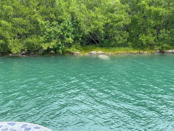 $6,500 | 7204 Gulf Of Mexico Boulevard, Unit 204, Marathon, FL 33050