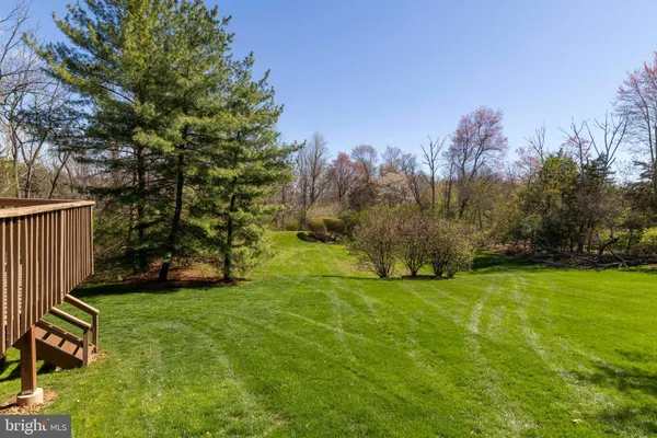 a view of a field with trees in the background