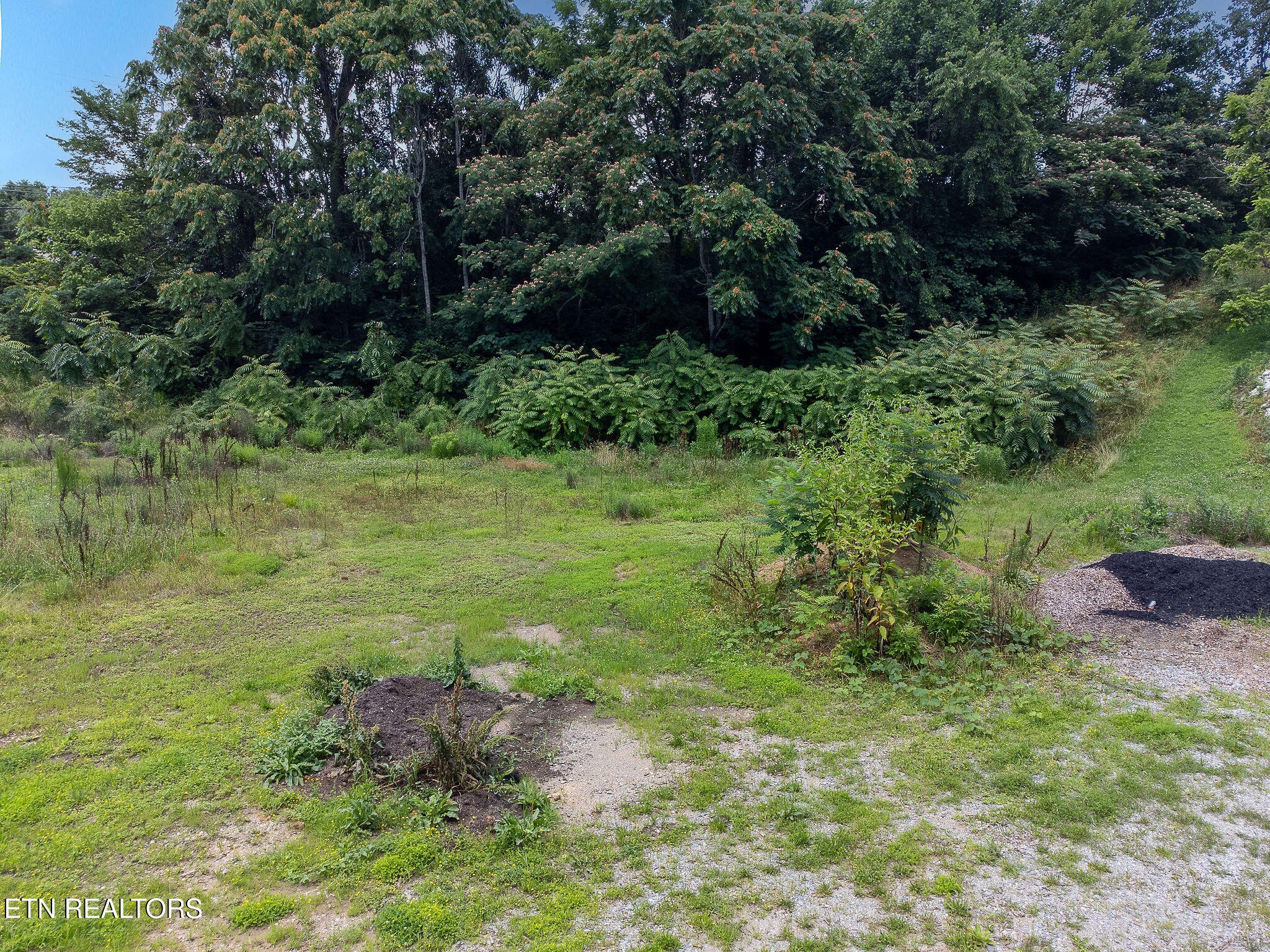 8158 Bell Campground Road Powell, TN 37849 - Photo 2 of 14 Gallery Image 2
