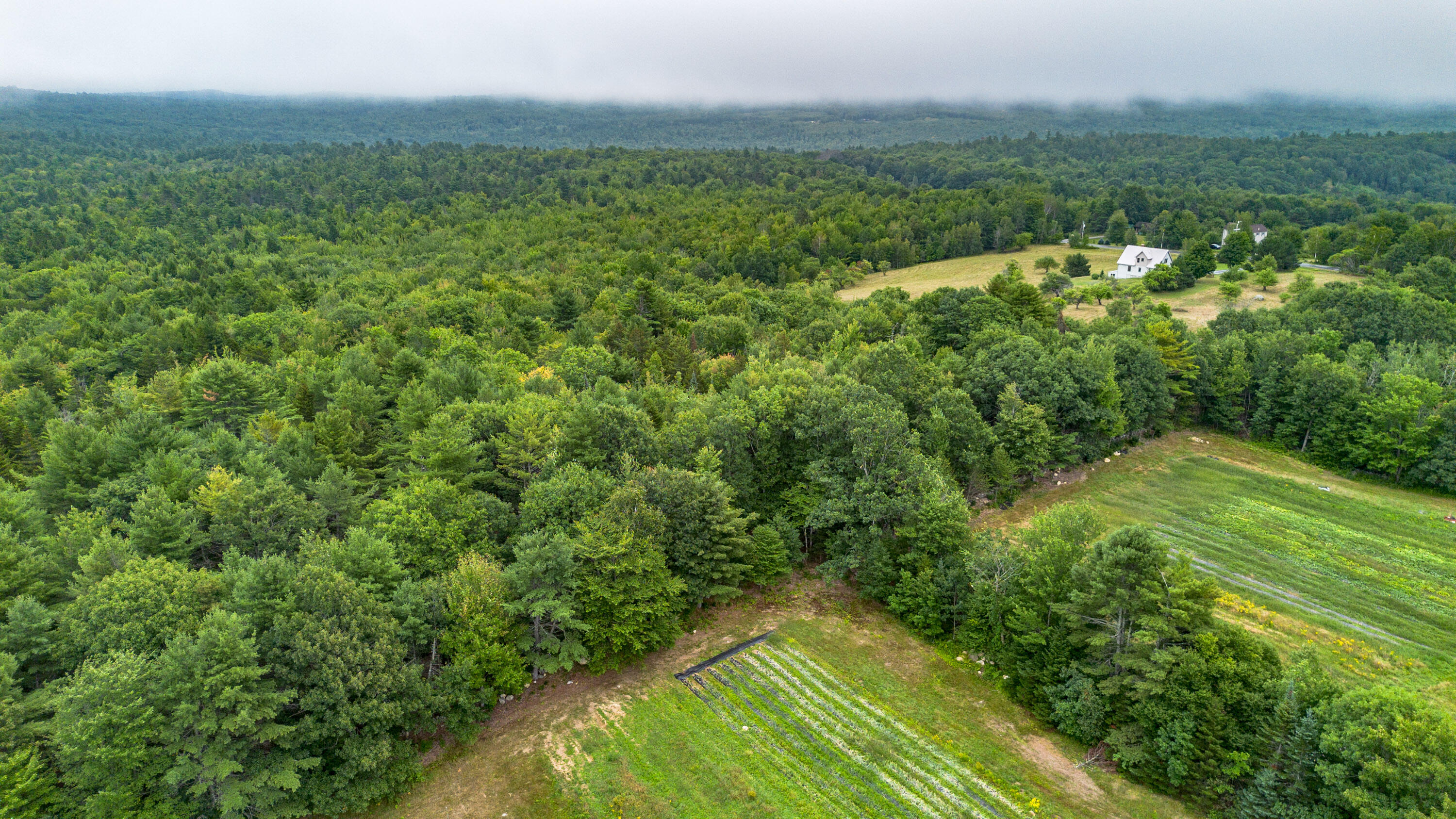 84 Stearns Hill Road West Paris, ME 04289 - Photo 48 of 94 20260817gp-62007