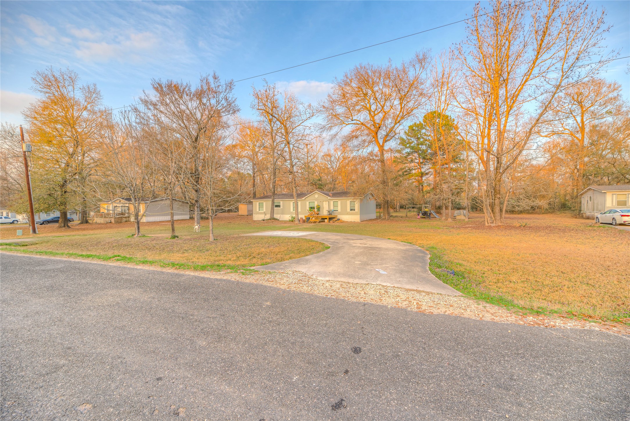 17709 Pine View Drive Conroe, TX 77302 - Photo 8 of 26 a view of road with trees