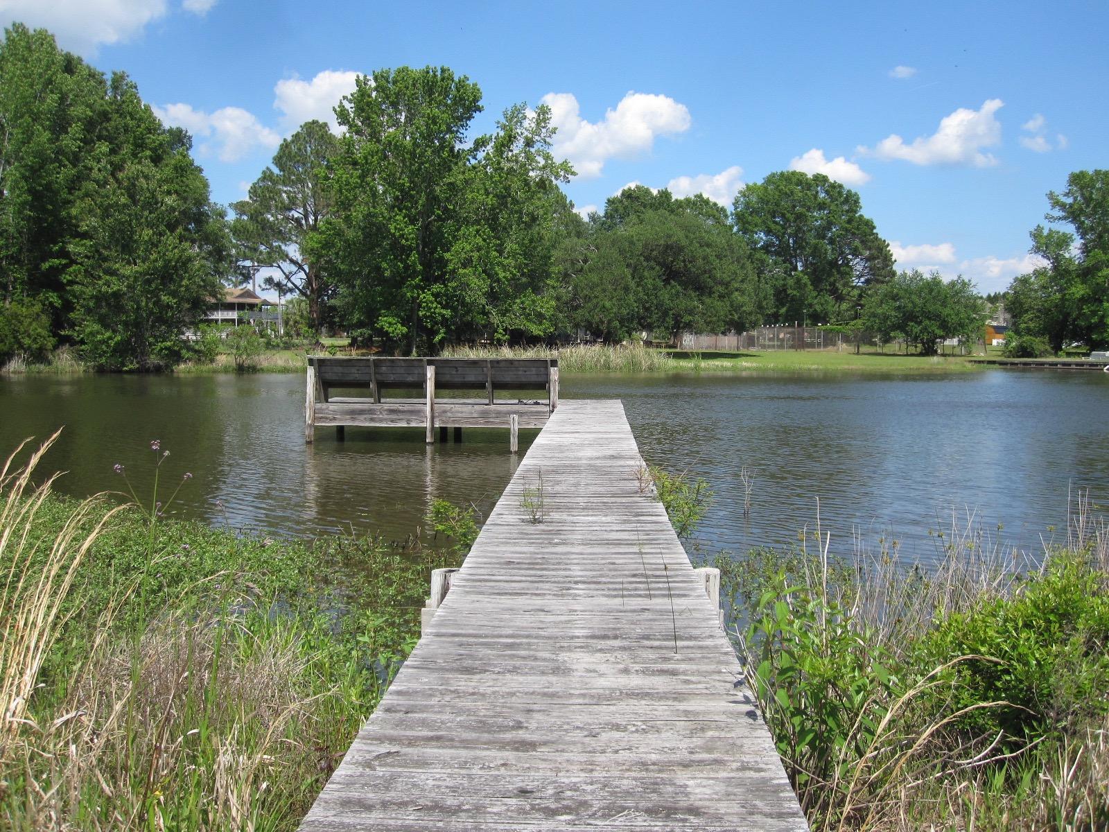 7755 Bill Davis Road Summerton, SC 29148 - Photo 2 of 20 IMG_8636
