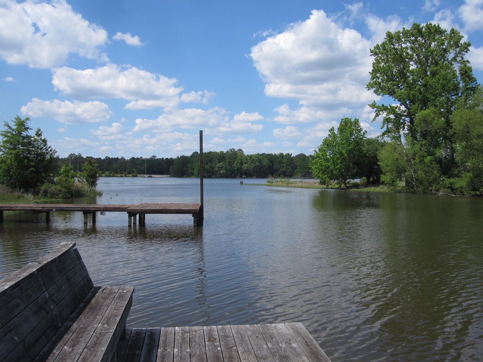 7755 Bill Davis Road Summerton, SC 29148 - Photo 3 of 20 IMG_8637