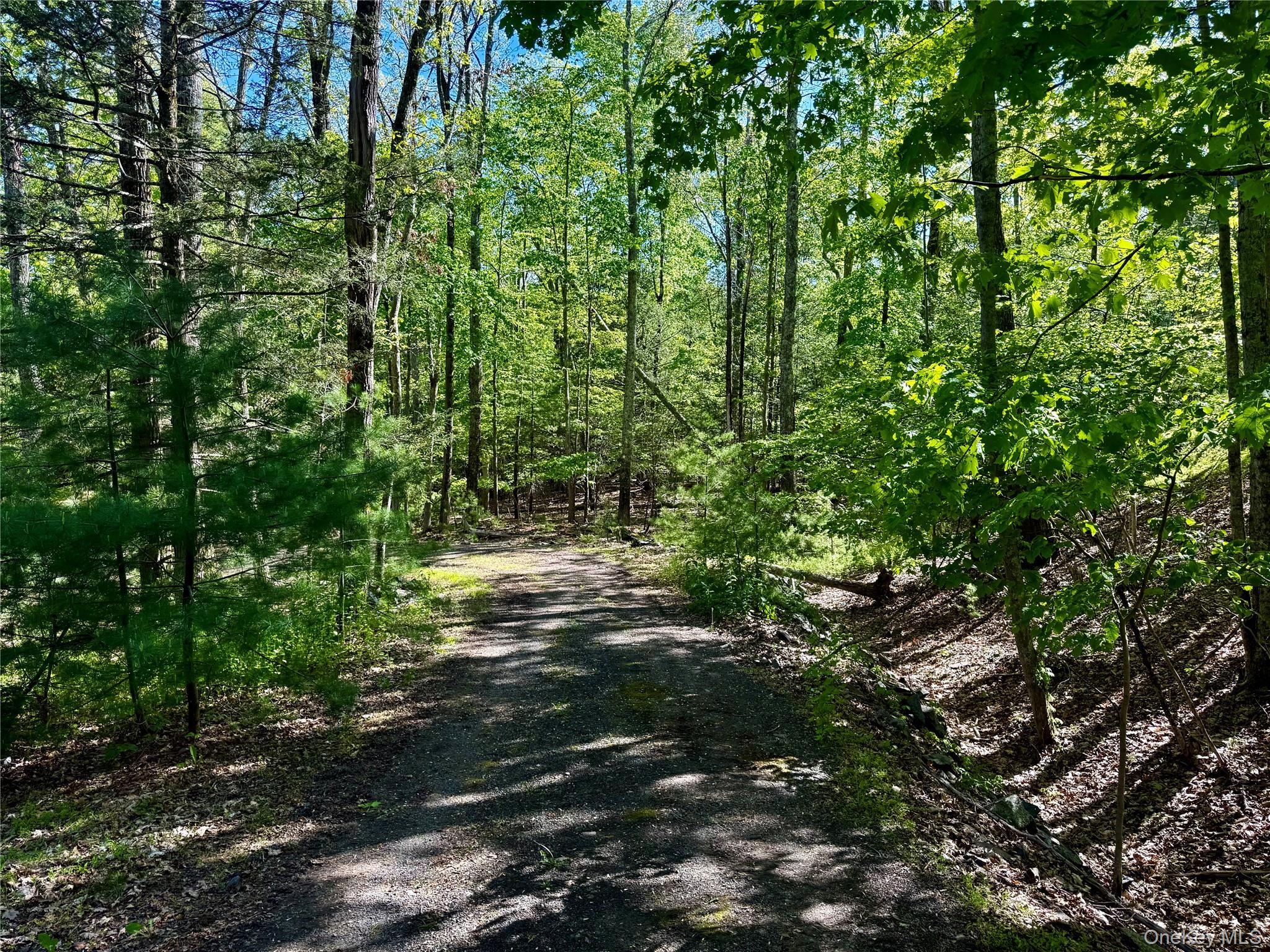 101 Stone Road Hurley, NY 12491 - Photo 8 of 24