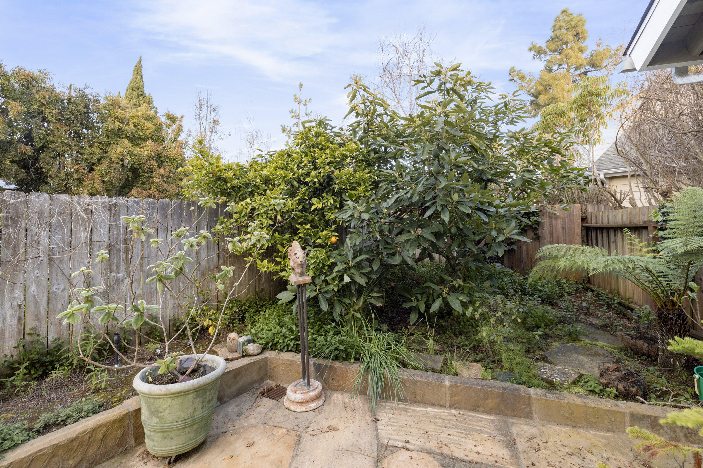 1539 Meadow Circle Carpinteria, CA 93013 - Photo 5 of 21 a view of a backyard with chair and potted plants