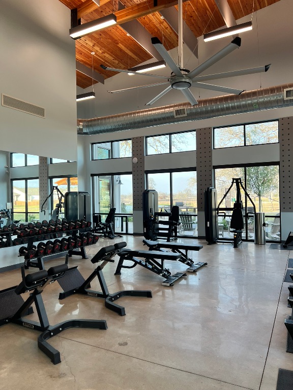 117 Badillo Way Bastrop, TX 78602 - Photo 36 of 40 a gym room with gym equipment and a large window