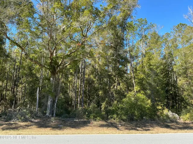 a view of a yard with large trees