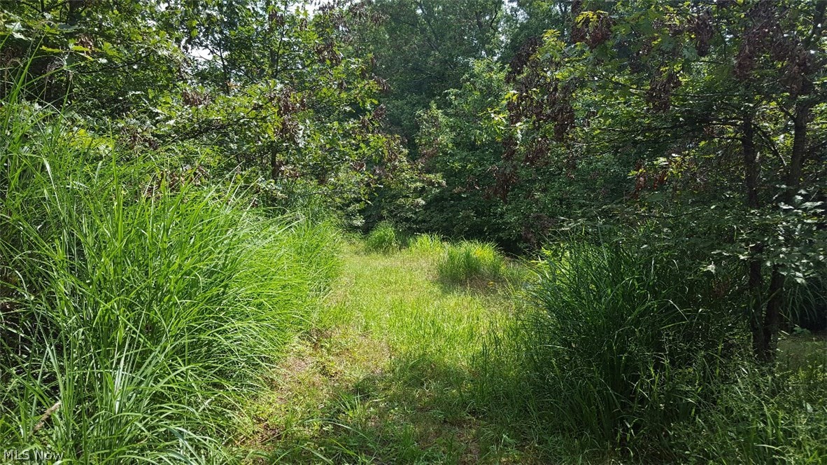 0 North Fork Road New Matamoras, OH 45767 - Photo 12 of 16 Gallery Image 12