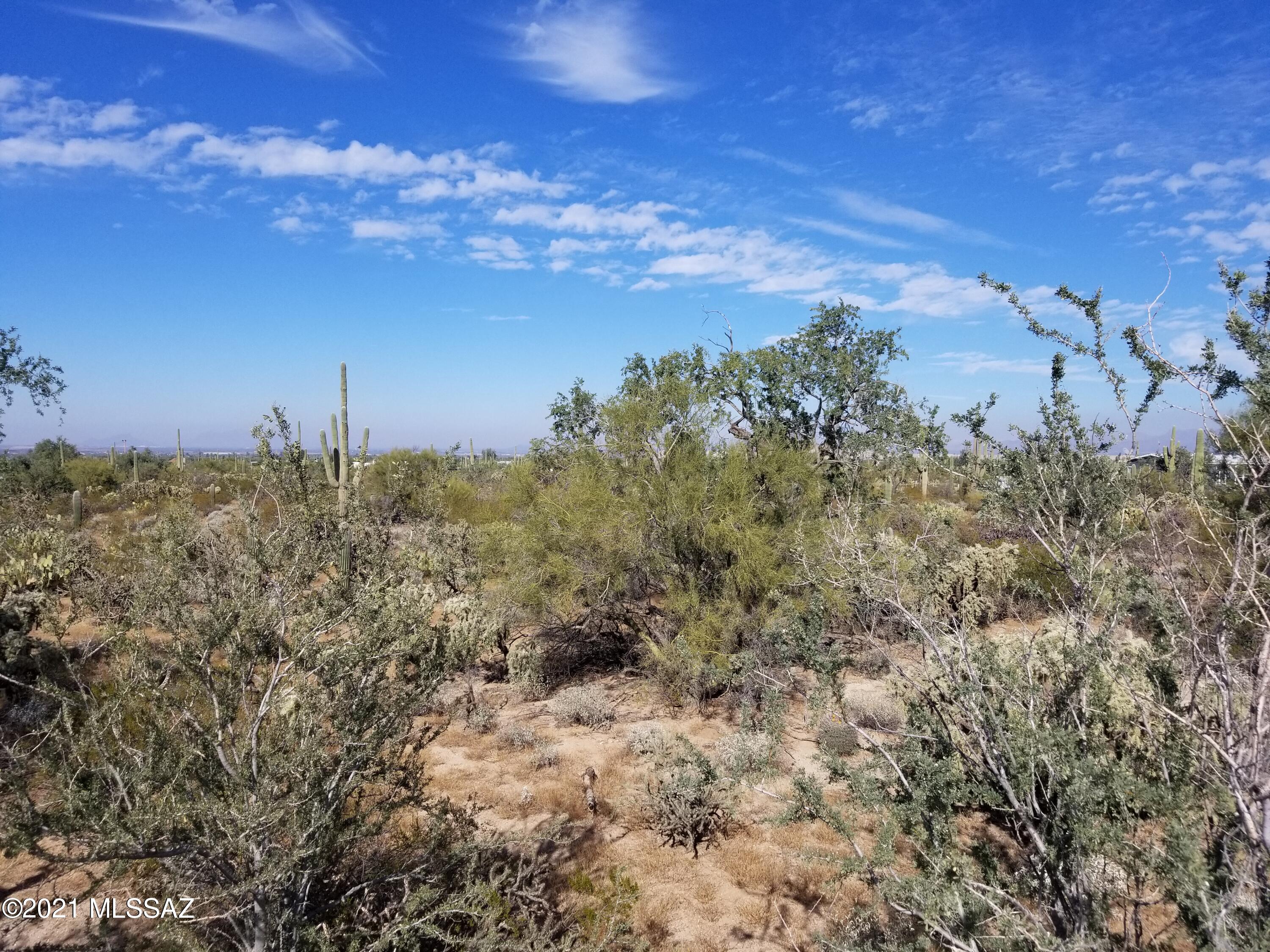 11110 West Rudasill Road, Unit 4 66 AC Tucson, AZ 85743 - Photo 4 of 19