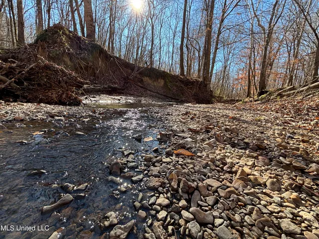 $569,000 | 2822 Stevens Road, Yazoo City, MS 39194