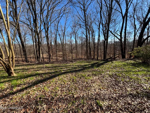 $569,000 | 2822 Stevens Road, Yazoo City, MS 39194